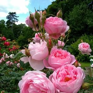 Meet your Posher, Saundra